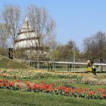 Discovering Magdeburg’s Green Spaces: A Guide for Students and Nature Lovers